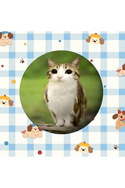 Choice 25x25 مم z27 ميمات قطط لطيفة مواء شارات كاواي دبابيس أزرار صفيح إبداعي...