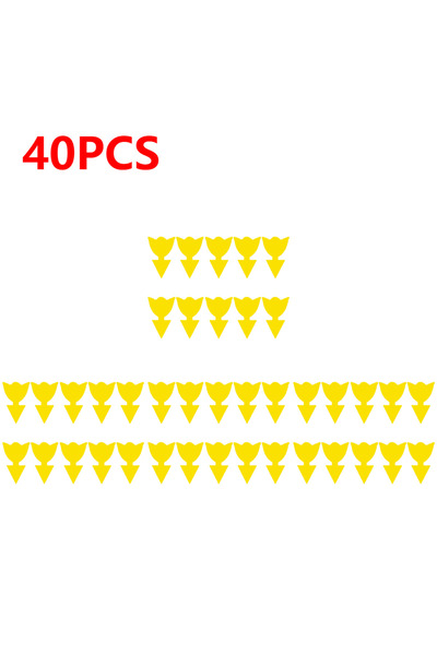 Choice6 40 قطعة من مصائد التوليب اللاصقة، 10-40 قطعة من مصائد ذباب الفاكهة ال...