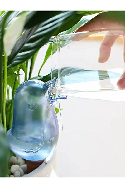 Choice مرشّة زهور أوتوماتيكية زرقاء، بالون ماء ذاتي الري، مرشّة نباتات بلاستي...