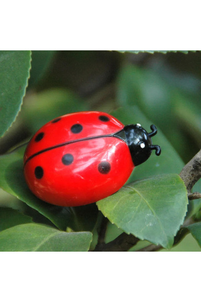 Choice1 لعبة الخنفساء الذكية التفاعلية للقطط مع عائق هروب تلقائي، حشرة كهربائ...