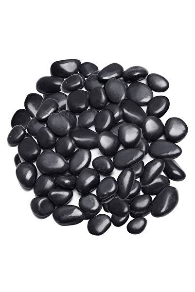 Choice6 رقائق كريستال الشونجيت 5-7 مم 40 جم، رقائق الشونجيت الطبيعية، حجر حصى...