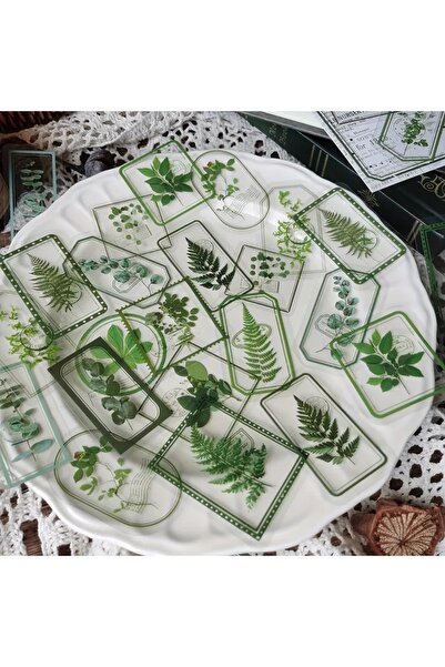 Choice3 ملصقات إطار نباتات الزهور العتيقة من إي جيانكي، 30 قطعة/عبوة، ديكور إ...