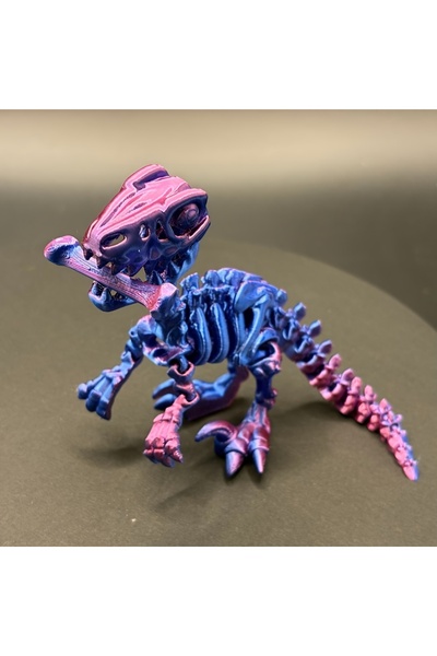 Choice مجسم ديناصور فيليرابتور مطبوع ثلاثية الأبعاد من بيربل - مجسم واقعي بمف...