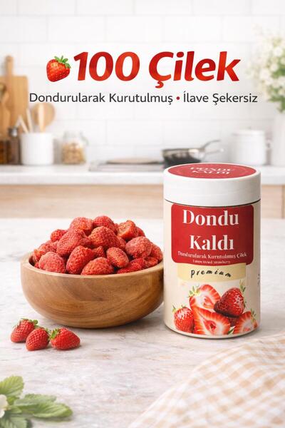 Dondu Kaldı Dondurularak Kurutulmuş Çilek-Meyve Cipsi