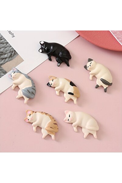 Choice 6 Pack 6pcs,New Magnetic Cat Fridge Magnets,Personalized Fridge Magnet...