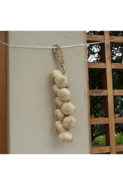 Choice1 ثوم أبيض، فواكه صناعية مزخرفة مزيفة، طبق رغوي واقعي، بصل، ثوم، ذرة، ف...