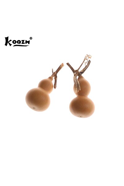 Choice قطعتان من القرع المجفف الطبيعي العشوائي، مجموعة فنية وحرفية، زجاجة صغي...