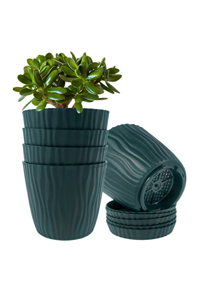 Choice مجموعة أواني زهور خضراء من 5 قطع، مصنوعة من البولي بروبيلين، مزودة بفت...