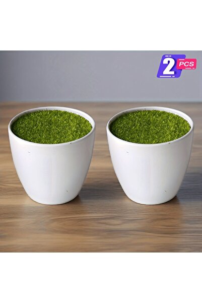 Choice WHITE 2 PCS Modern White Plastic Flower Pots with Lush Synthetic Grass...