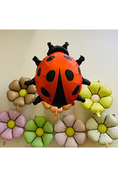 Choice1 Other Matte red The new product matte ladybug-shaped aluminum film ba...