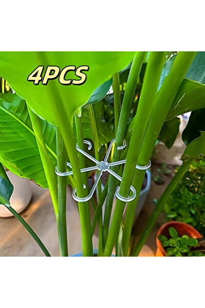 Choice7 حامل نباتات معلق كبير شفاف من XZW مكون من 4 قطع، مزود بخطافات حديدية،...