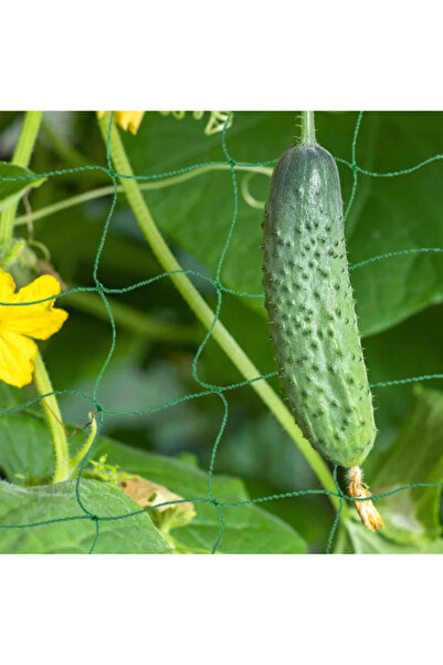 Choice3 1.8Mx2.7M 1 Piece Flexible Green Garden Trellis Net - Durable Plastic...