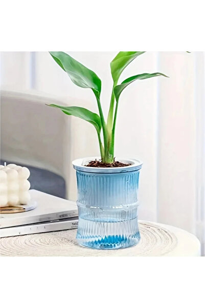 Choice4 Blue Lazy ponic Flower Pot Automatic Water-Absorbing Flowerpot Transp...