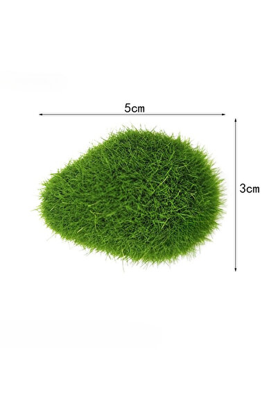 choice2 ١٠ قطع من أحجار الطحالب الصناعية، ٣×٥ سم، مناسبة لأصص الزهور المنزلية...