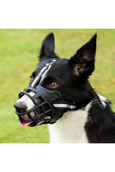 Choice for about 2.5KG Dog Adjustable Dog Muzzle Anti-Biting Dog Mouth Cover ...