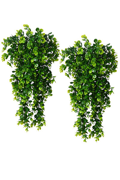 Choice نباتات اصطناعية من الأوكالبتوس بطول 80 سم، قطعتان، كرمة أوكالبتوس، ديك...