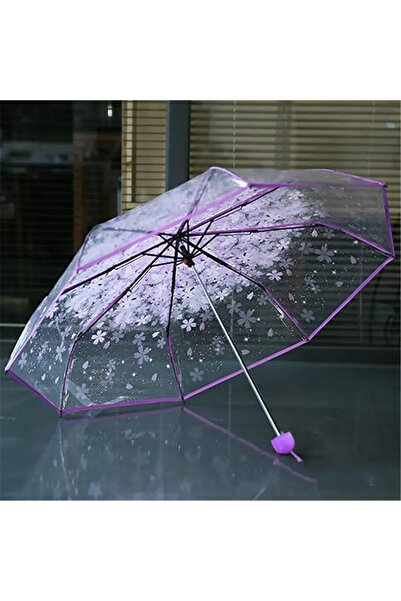 choice2 Aluminum 8K PURPLE Fashionable Sakura Fresh Transparent Petal Umbrell...