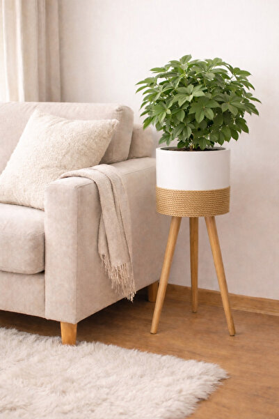 BLACK PEARL Bambu Ahşap ayaklı saksı beyaz halat