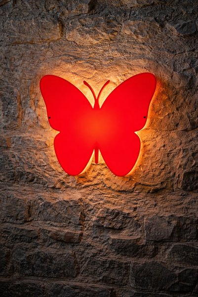Sun Aplik Sconce Butterfly Led Wall Lamp 27X23 cm