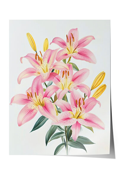 Zestia Poster premium cu flori de crin roz, ilustrație botanică rafinată, dec...