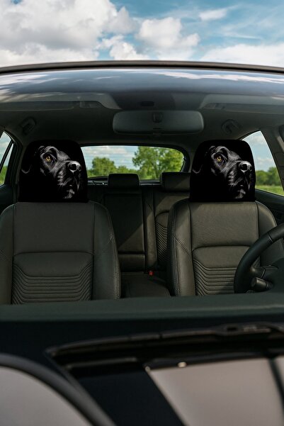 EVPANYA غطاء رأس السيارة المزخرف، عبوة من قطعتين