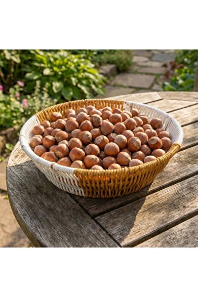 Roichil Round Double Color Plastic Rattan Bread and Fruit Basket