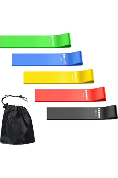 Boer Resistance Bands Set, 5pcs Assorted Pounds Strength Training Exercise Re...
