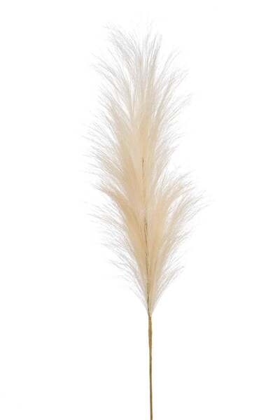 Noname Artificial Pampas Stem, cream, 115cm
