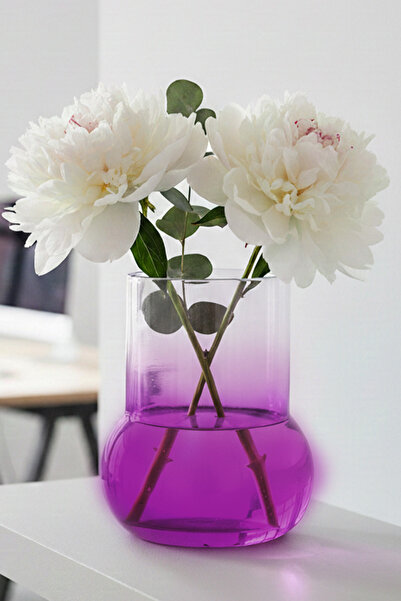 Oduman Dekoratif Elma Formlu Şeffaf Cam Vazo - Minimalist Çiçek Vazosu 11 CM ...