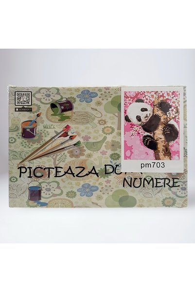 Universul Jucăriilor Pictură, pe Numere – Creativă pentru Copii și Adulți
