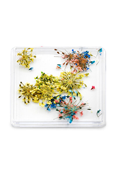 global fashion Set de 4 unități: Decor pentru unghii, flori uscate D30