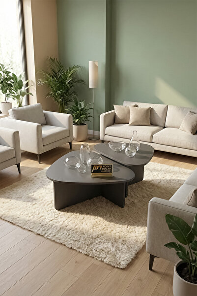 PDMPOİNT DOLAP MARKET Lavisa Orta Sehpa - Antrasit