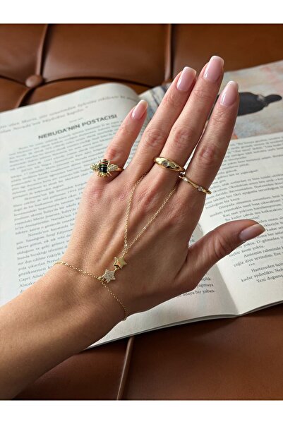 Twenty Eight Two Star Steel Shahmeran