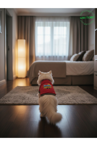 Gobo Kırmızı Yürüyen Karizma Yazılı Kedi ve Köpek Kıyafeti Tişörtü Elbisesi XSMALL/XS/Beden 0