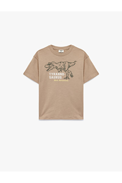 Koton Boy'S Brown Boy'S Tshirt Ss