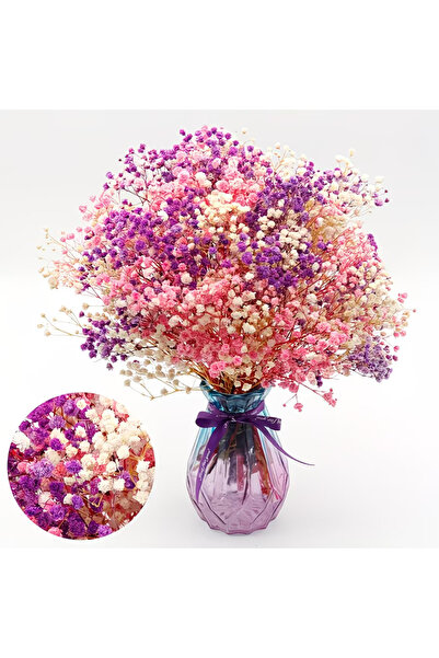 Dekora Çiçek Dried Shocked Pink Cipso Bridal Bouquet Arrangement Flower Natur...