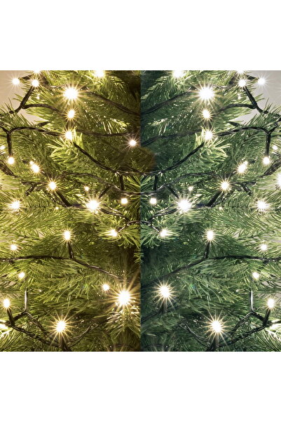 Somogyi Ghirlandă de lumini LED în două culori