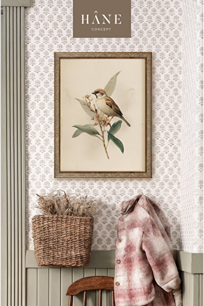 Hane Concept Klasik Kuş İllüstrasyon Tablosu – Premium Vintage Duvar Dekoru