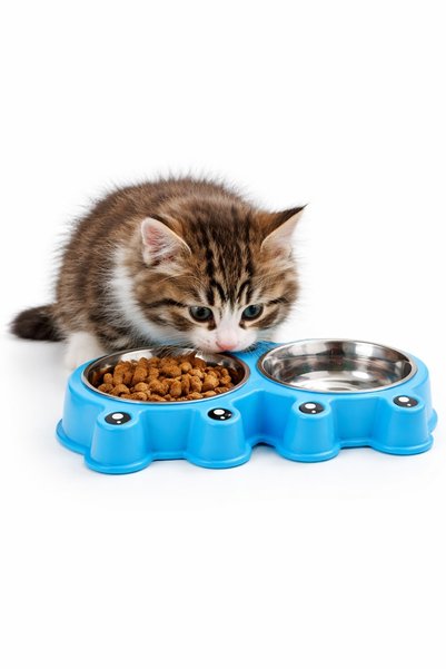 PHENORA Paslanmaz Çelik Çiftli Mama Ve Su Kabı | Kedi Ve Köpek Mama-Su Kabı
