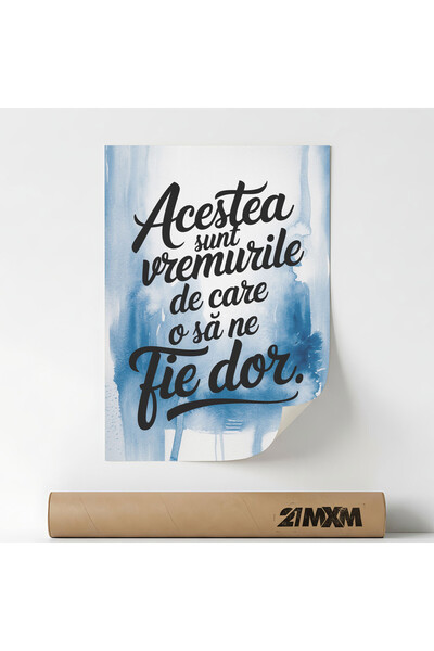 21mxm Poster motivational in Romana, Acestea sunt vremurile, Fara Rama