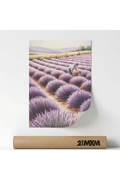 21mxm Poster decorativ, ilustratie peisaj lavanda, Lavender harvest scene, Fa...