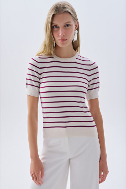 Mudo Fitted Striped Short Sleeve Knit Sweater