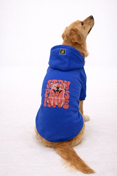 VERAPAWS سترة بقلنسوة للكلاب من BIG BREED Vera Paws Stay Pawsitive - ملابس شت...