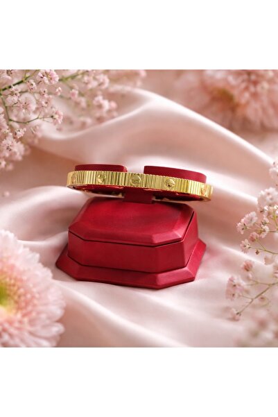 Alissa Accessories ALİSSA VİP ÇELİK 316 L 5,4 CM KELEPÇE BİLEKLİK GOLD