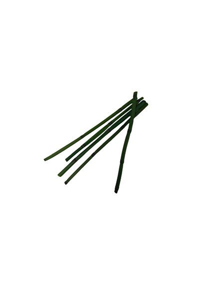 Colorarte Foliage Bamboo, verde, punga 3 buc,