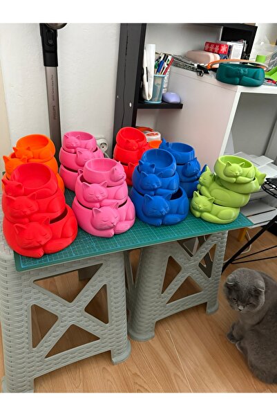 Renkli Kedi Şekilli Mama Su Kabı - Set 3 Parça