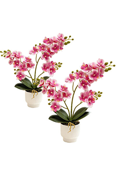 Choice1 قطعتان من زهور الفالاينوبسيس الاصطناعية مقاس 16 بوصة، زهور أوركيد صنا...