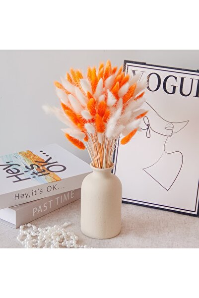 Dekora Çiçek باقة زهور جيلرُوس البرتقالية البيضاء المصنوعة من عشب القطن المجف...
