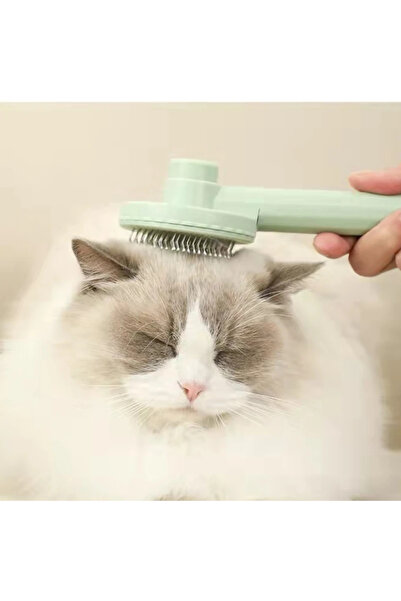 OemPlay Perie de masaj pentru pisici cu un singur clic