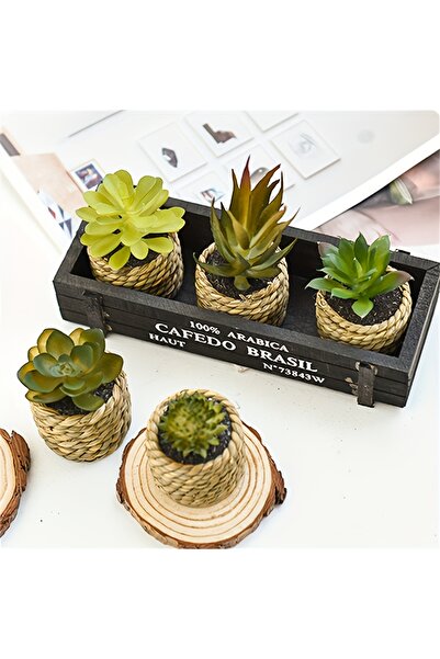 Choice 5pcs 5pcs Set of Artificial Potted Plants Artificial Aloe Vera Fake Su...